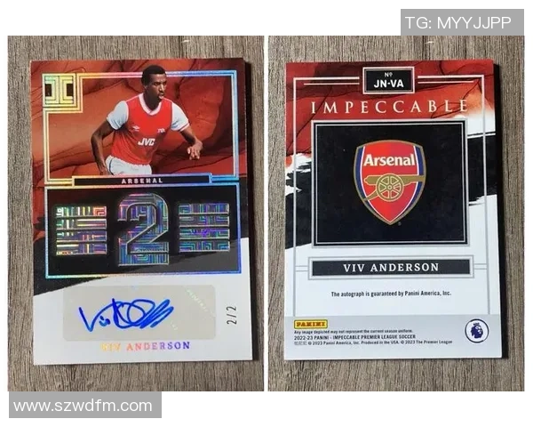 足球金块球星卡收藏价值与魅力深度解析