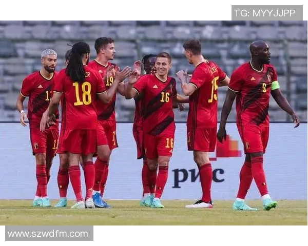 冰岛现役足球球星风云:扬眺与潜力